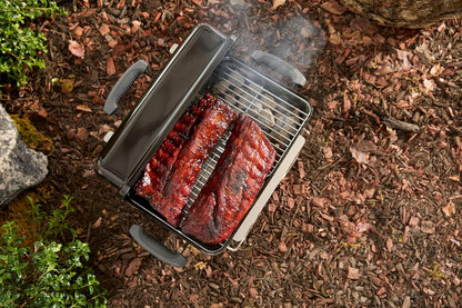 Weber Go-Anywhere asador portatil de carbón