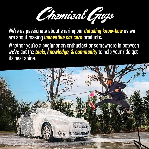 Chemical Guys Ambientador y Eliminador de Olores Premium Signature Scent, Olor a Éxito (ideal para automóviles, camiones, todoterrenos, caravanas, hogar, oficina y más) 473ml