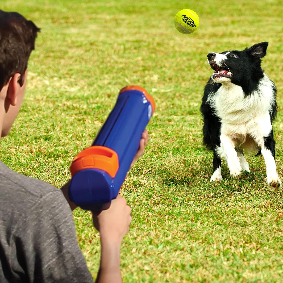 Nerf Dog Pelota de Tenis Blaster Juguete para Perro
