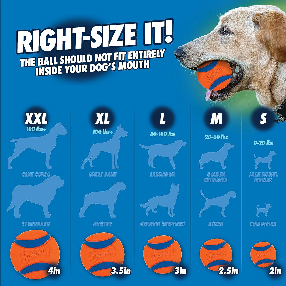 Chuckit 26-Inch Pro Ball Launcher for Larger Dogs, Large
