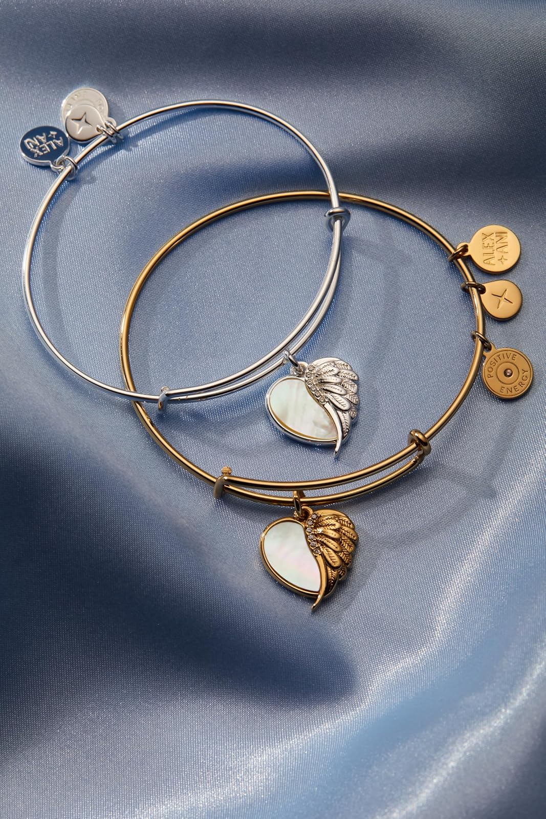Alex and Ani Wings of Protection Charm Bangle