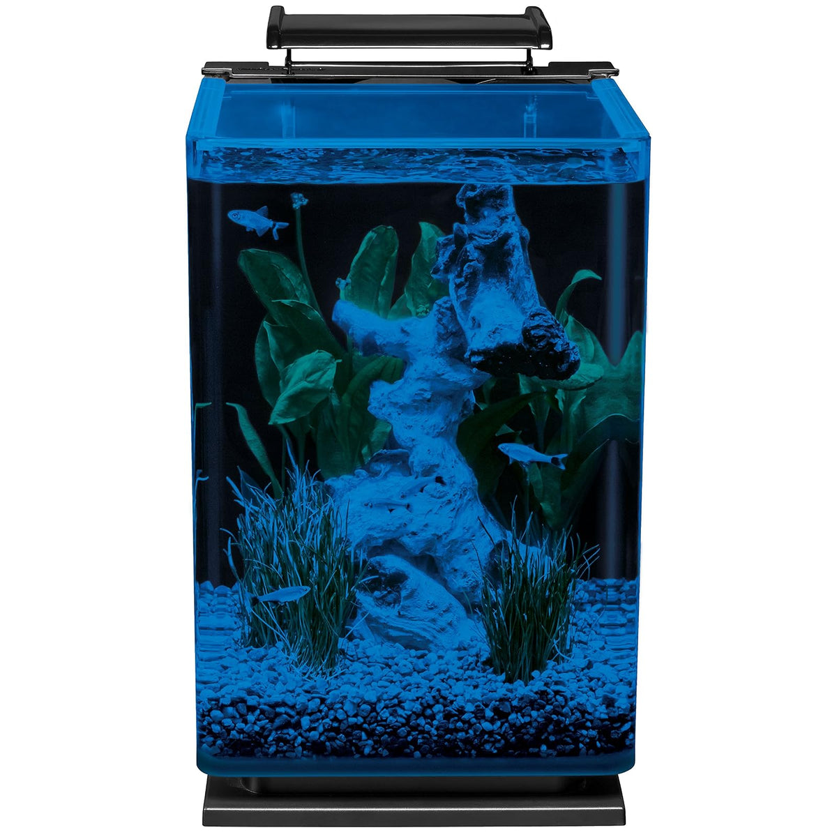 Marineland ML90609 Portrait Aquarium Kit, 5-Gallon