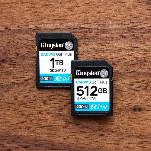 Kingston Tarjeta De Memoria SD, Canvas Go Plus Gen4, Capacidad: 256GB, 4K, Clase 10, UHS-I, U3, V30, Lectura: 200MB/s y Escritura: 160MB/s, SKU: SDG4/256GB