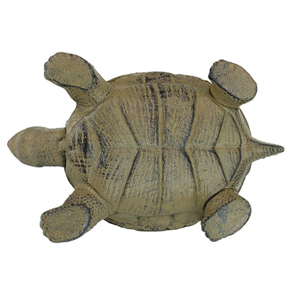 Design Toscano - Estatua de Animales de Tortuga de Hierro Fundido, 10 Pulgadas de Ancho, Acabado Verdigris