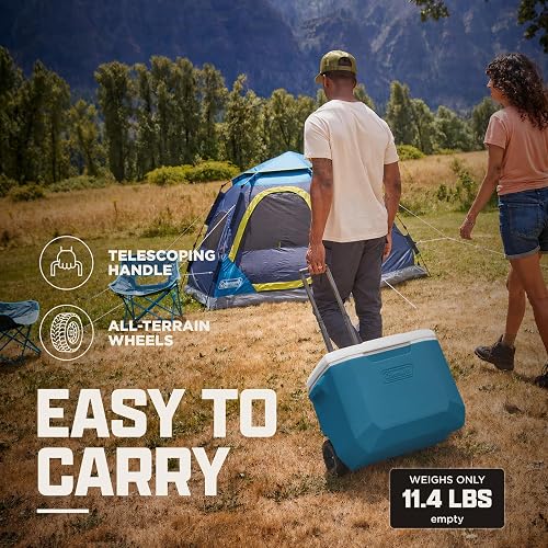 Chiller Cooler 60QT