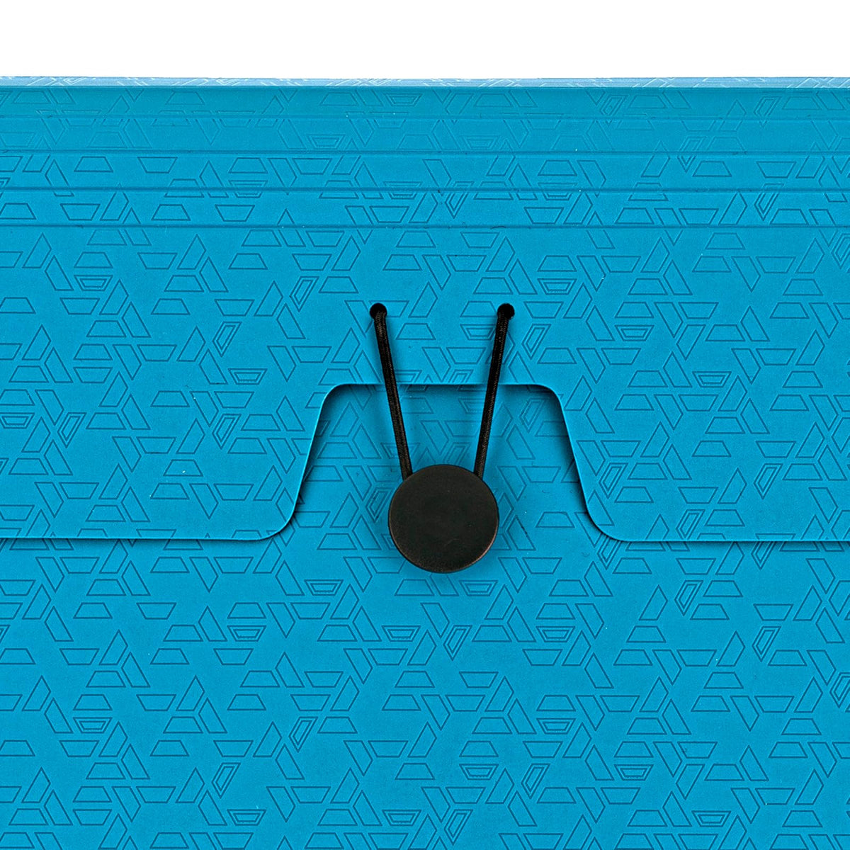 Five Star Organizador de archivos expansivo, organizador de archivos de acordeón de 6 bolsillos, cierre elástico, capacidad para papel de 8-1/2 x 11 pulgadas, azul Tidewater (350100C-ECM)