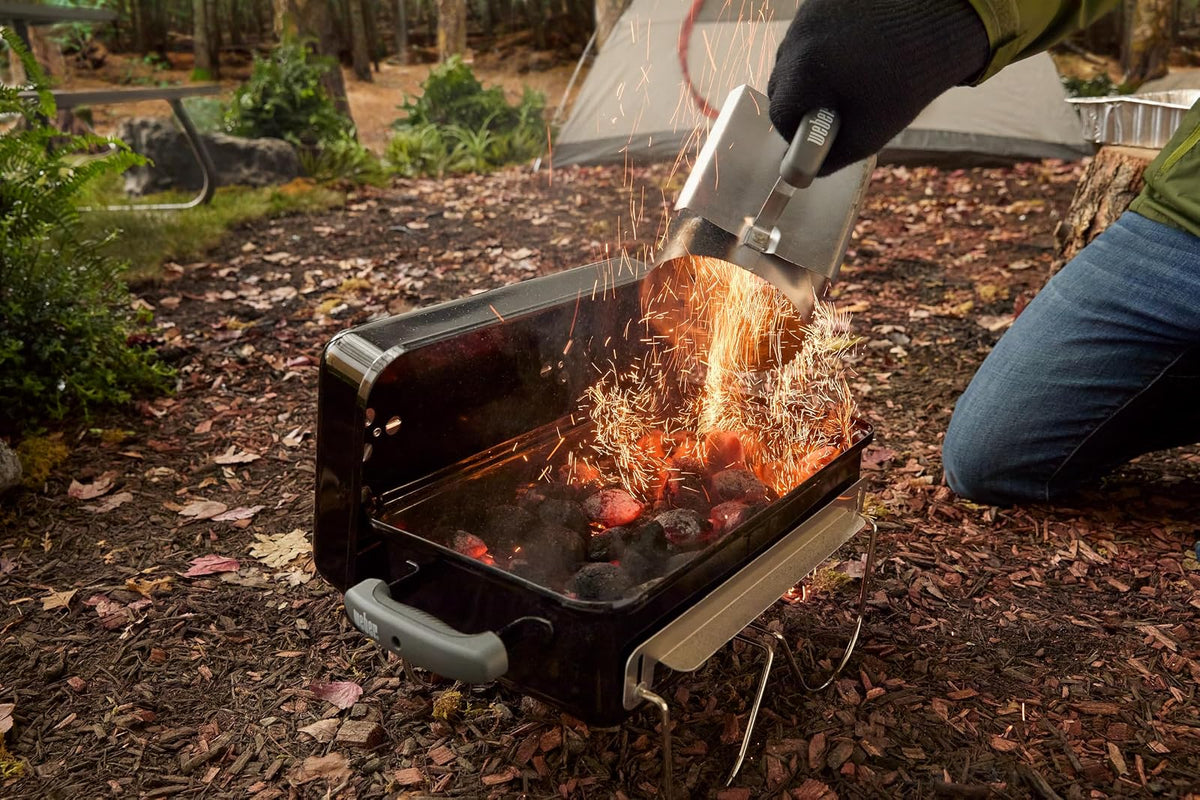 Weber Go-Anywhere asador portatil de carbón
