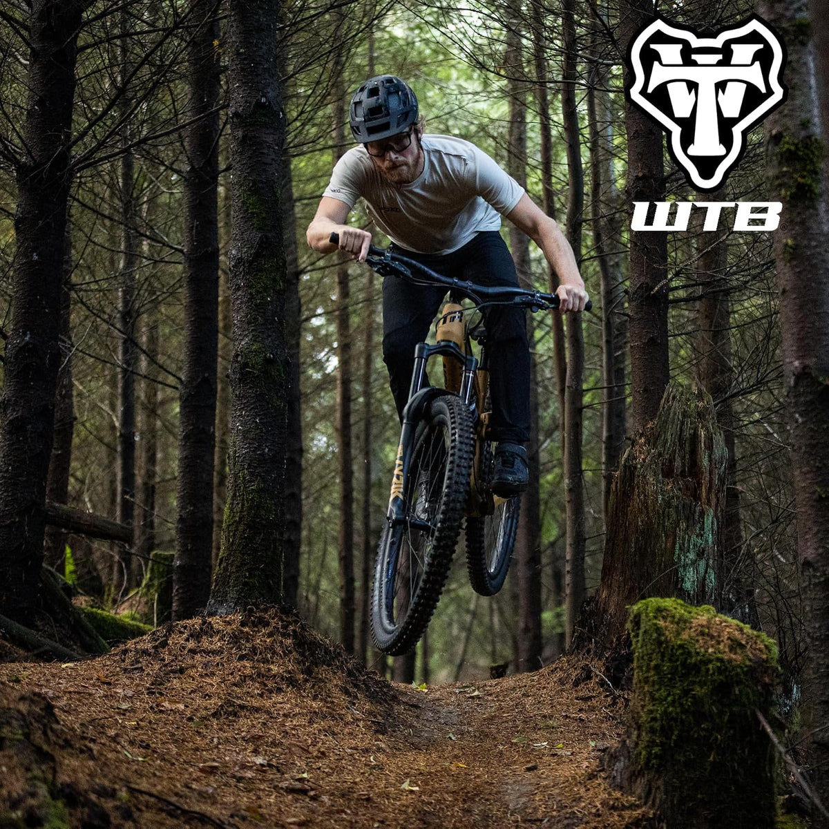 WTB Verdict Mountain Bike Front Tire