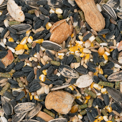 Red Kite Mezcla DE Semillas P/Loros Y CACATUAS 500 G (Paquete de 2)