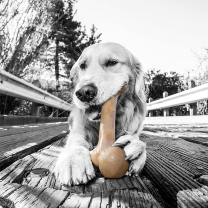 Pet Qwerks BBQ BarkBone Dog Chew Toys for Aggressive Chewers, Made in USA