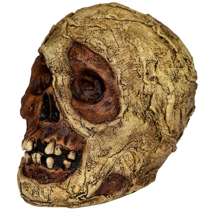 Ghoulish Productions Mummy Skull, Artículo Decorativo de Craneo Cabeza de Momia, Adorno para Decoración de Halloween de Momias Ideal para Casa de Terror y Día de Muertos
