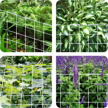 iPower - Red de Enrejado elástico Flexible de 4 x 4 pies con Ganchos para Tienda de campaña, Flores, Verduras, Soporte de Plantas trepadoras, 4 pies x 4 pies, Color Blanco