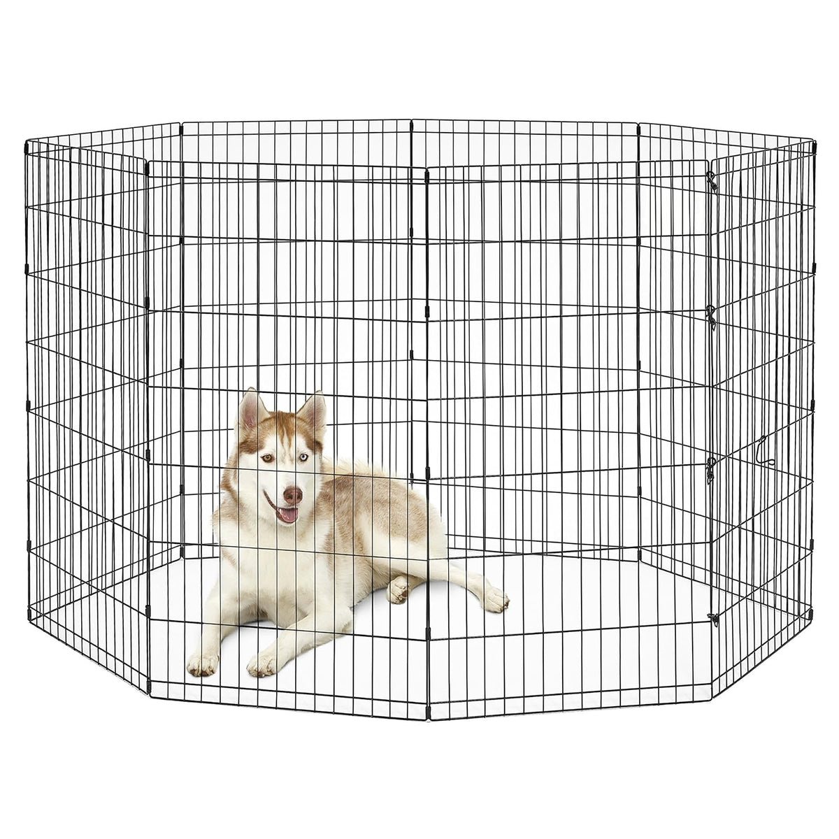 New World Pet Products - Corredor plegable para hacer ejercicio para mascotas B558-48, negro, XL, 24 x 48 pulgadas