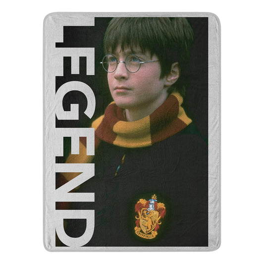 Northwest Harry Potter Micro Raschel - Manta de 46 x 60 Pulgadas, Leyenda