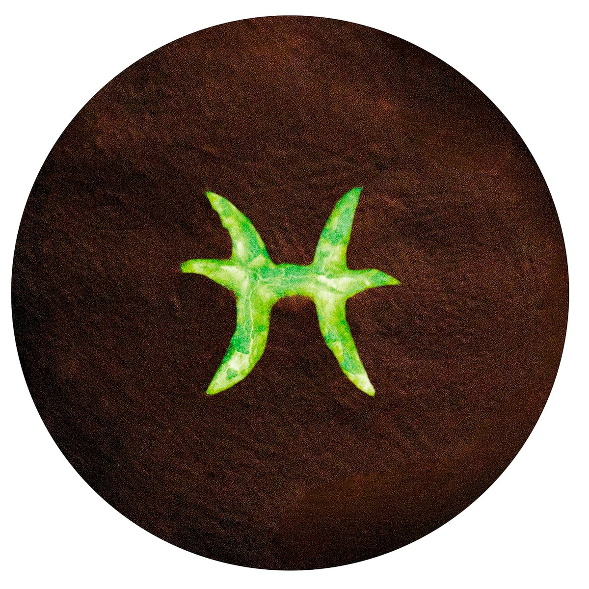 Ghoulish Productions Piscis, Pegatina De Látex Signo Zodiacal, Prostético De Látex Que Brilla En La Oscuridad, Línea Appliances, Aplicación Ideal Para Halloween