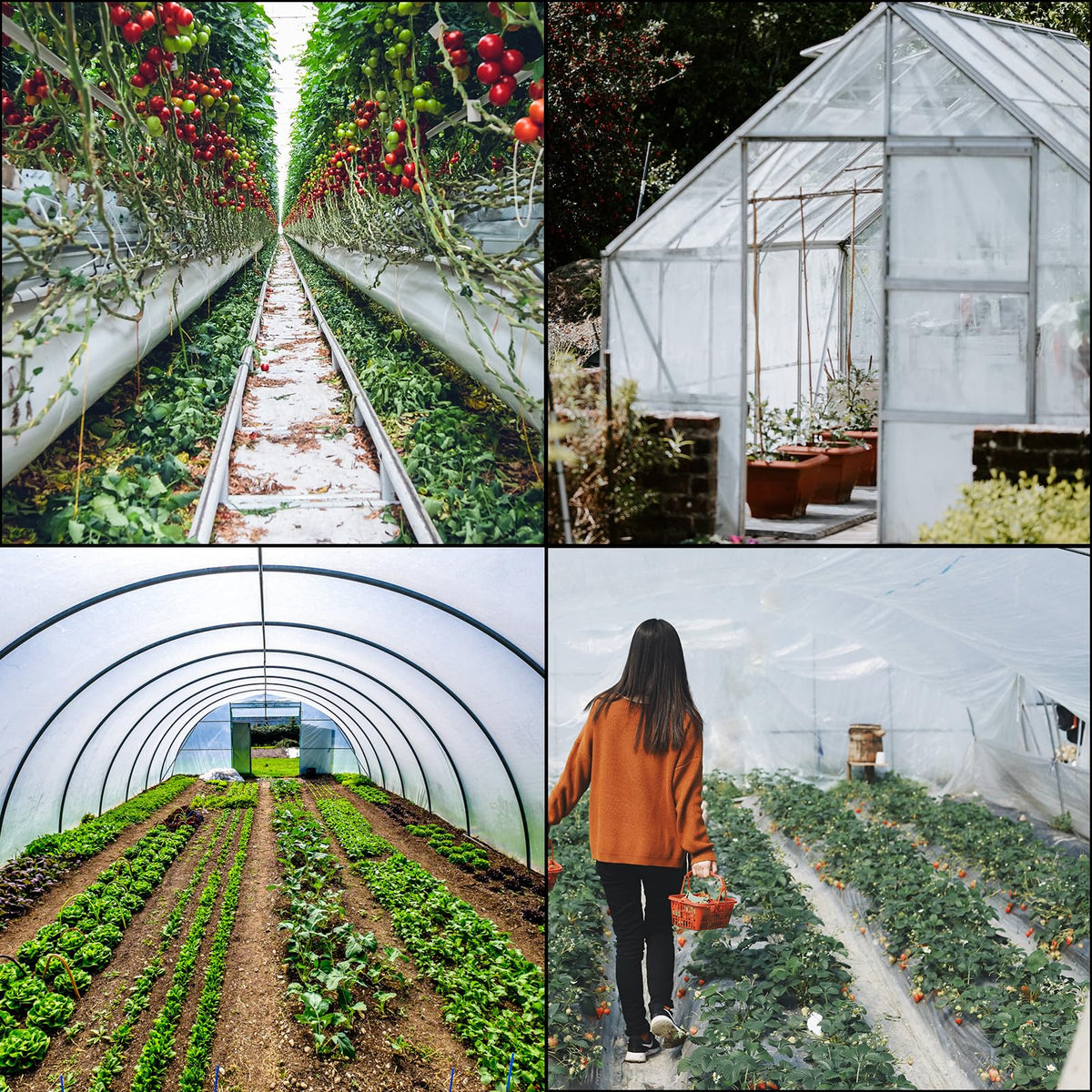VEVOR Película de Polietileno para Invernadero, Dimensión de 9,7 x 7,6 m Invernadero Plástico Transparente, Espesor de 0,15 mm Paño Anticongelante para Plantas, Fácil de Bricolaje para Agricultura
