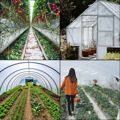 VEVOR Película de Polietileno para Invernadero, Dimensión de 9,7 x 7,6 m Invernadero Plástico Transparente, Espesor de 0,15 mm Paño Anticongelante para Plantas, Fácil de Bricolaje para Agricultura