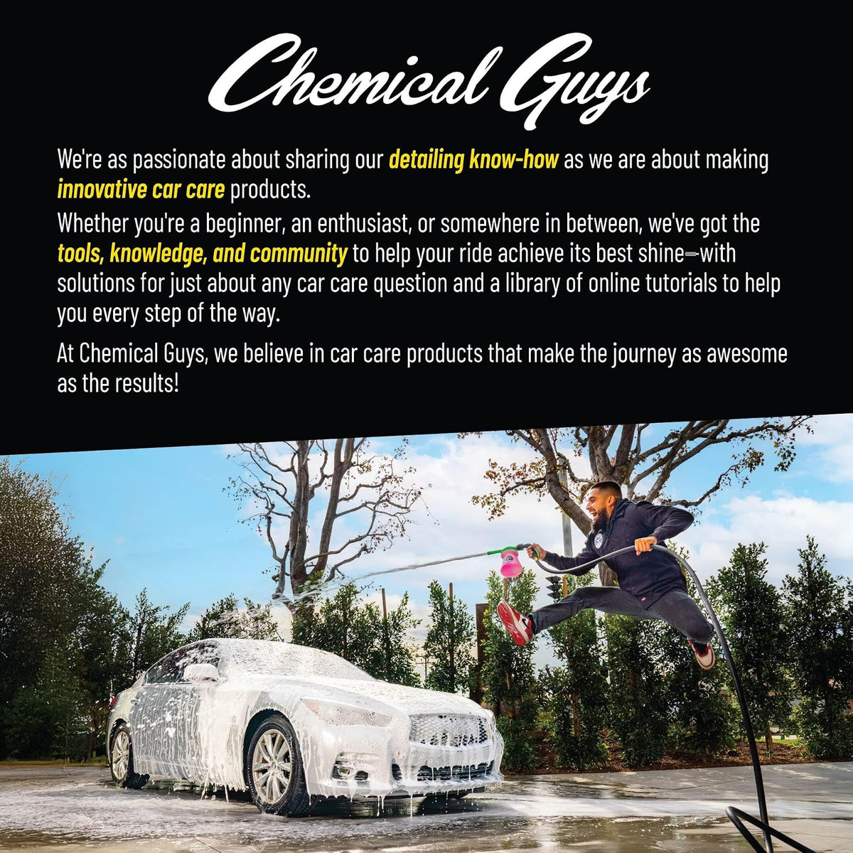 Chemical Guys Workhorse Toalla de Microfibra de Calidad Profesional, Negra, (Segura para Lavar Automóviles, Limpiar el hogar y secar Mascotas) 16" x 16" (Paquete de 3)