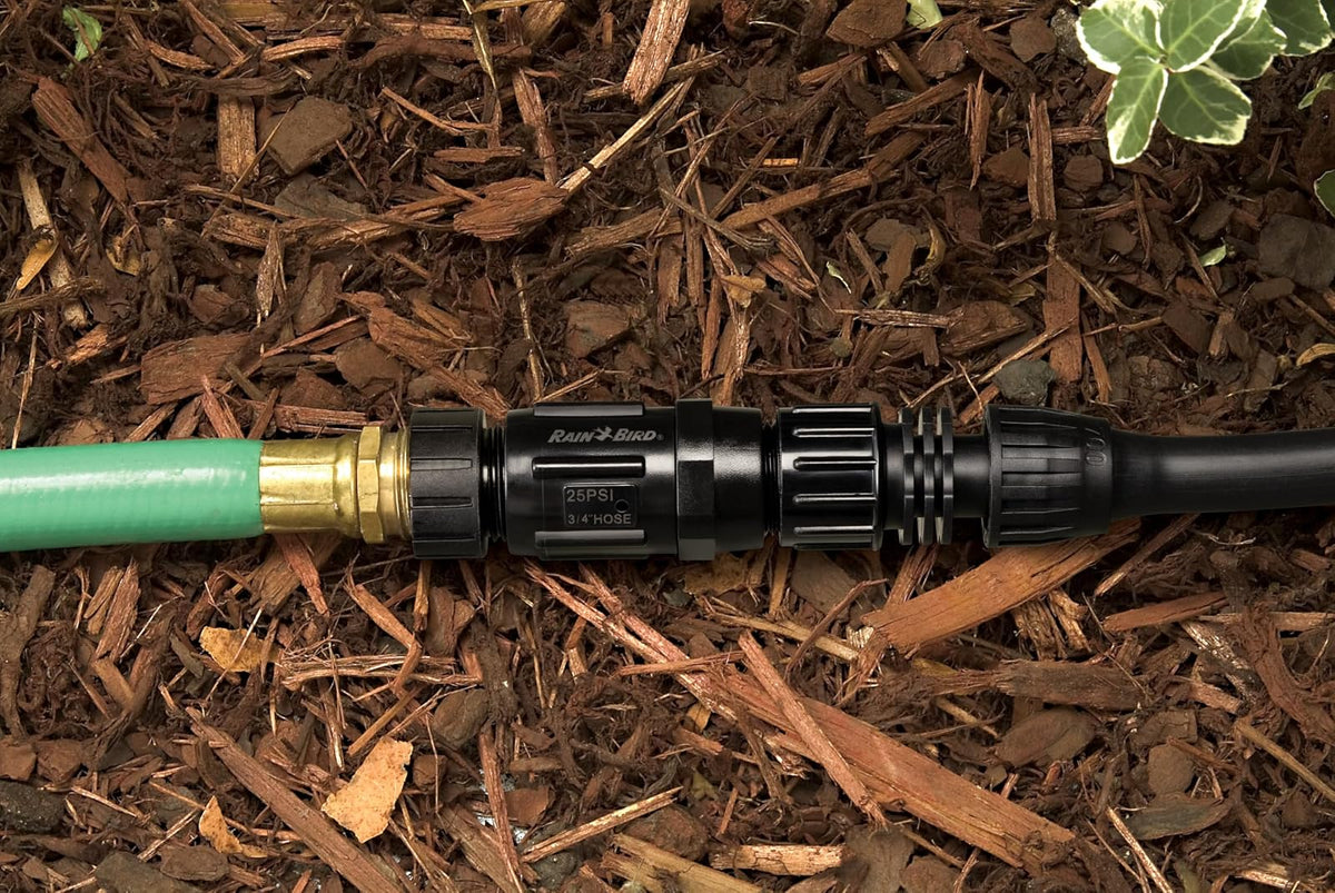 Rain Bird HT07525PSI - Regulador de presión de riego por goteo de 25 PSI, rosca de manguera hembra de 3/4 pulgadas x rosca de manguera macho de 3/4 pulgadas
