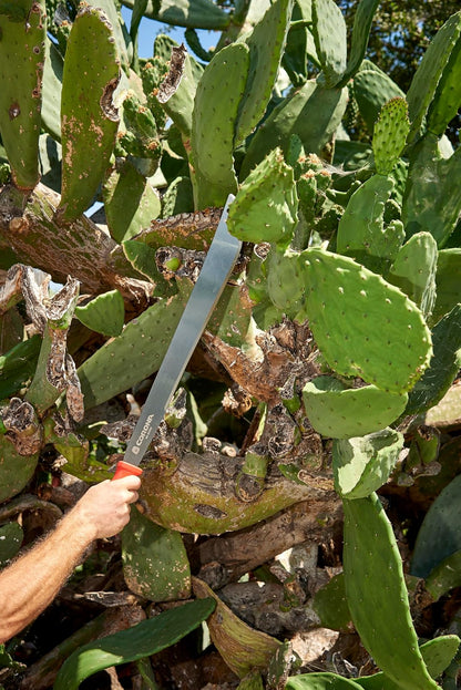 Corona Tools MA 60062 ErgoHandle Machete, 22 Pulgadas, Plateado