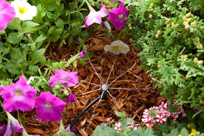 Rain Bird POTTEDKIT Recipiente de riego por goteo/kit de riego de plantas en maceta, se conecta a llave/manguera de jardín, tubo de goteo de 1/4 pulgadas, micro burbujas de 360°, accesorios en T y
