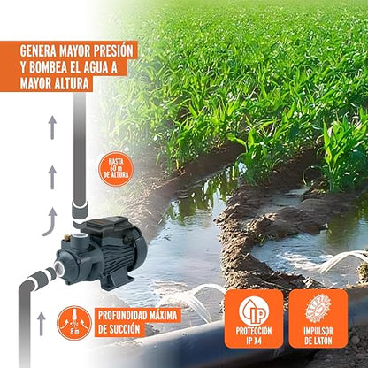 Truper BOAP-1A2, Bomba periférica 1 HP