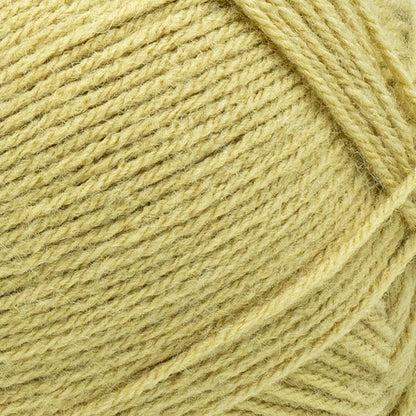 Lion Brand Yarn Pound of Love, hilo de gran valor para tejer, ganchillo y manualidades, popote, 1 paquete