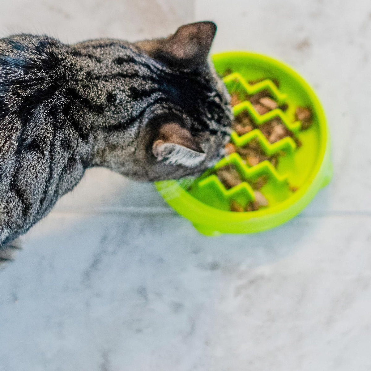 Petstages Kitty - Cuenco de alimentación Lenta para Gatos, Color Verde
