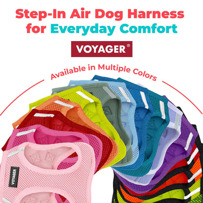 Best Pet Supplies - Arnés de Malla para Perros pequeños y medianos Voyager Step-in Air para Todo Tipo de Clima, Color Naranja (Ribete a Juego), Talla XXXS