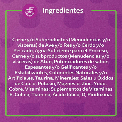 Whiskas Alimento para Gato Adulto en Lata, Sabor Res, Paquete de 24 Piezas, 350g c/u