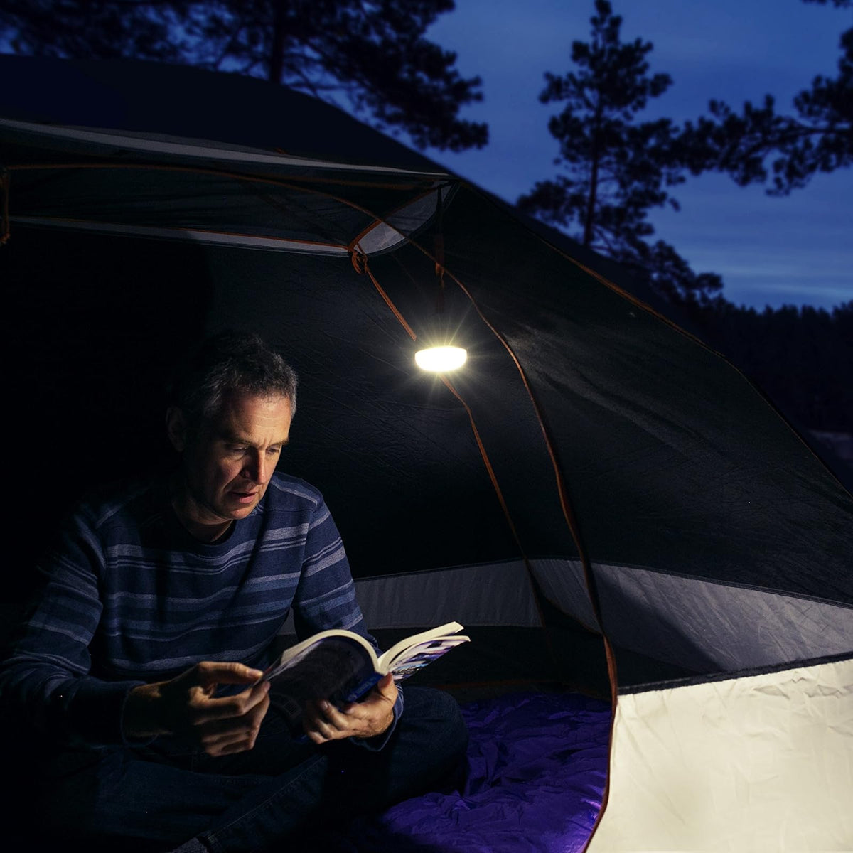 Wagan 4301 Camplites Linterna LED de Domo para Camping y Senderismo, Gris y Naranja