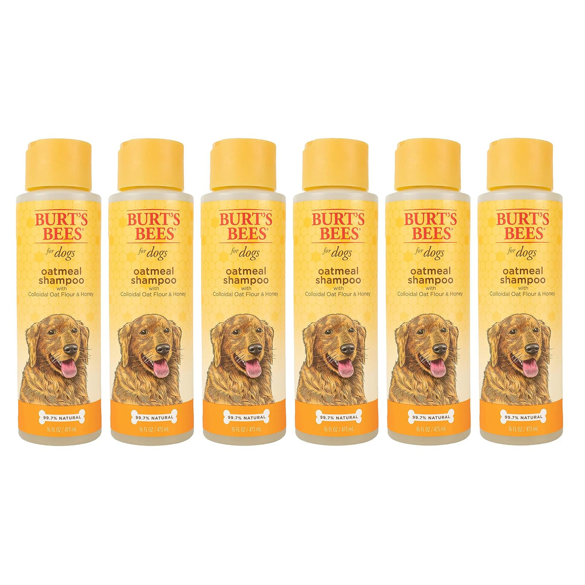 Burt's Bees for Dogs Champú y Acondicionador Natural de Avena y Miel - Paquete de 6 - Champú (16 oz)