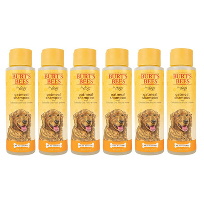 Burt's Bees for Dogs Champú y Acondicionador Natural de Avena y Miel - Paquete de 6 - Champú (16 oz)