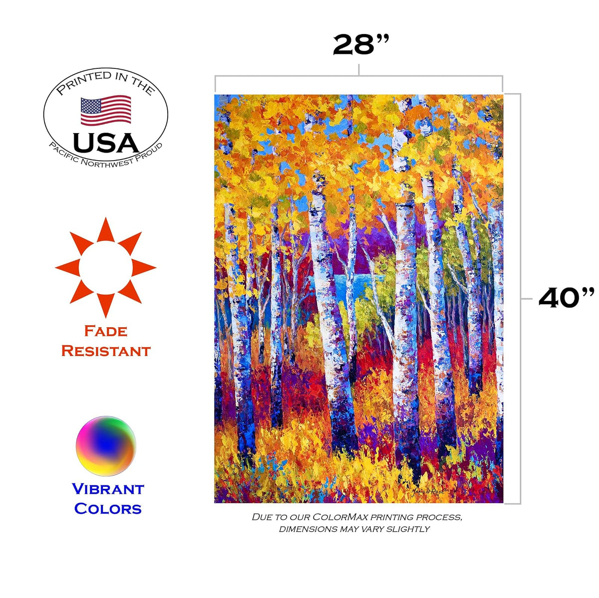 Toland Home Garden Blissful Birches 71.1 x 101.6 cm Decorativo Colorido Multicolor otoño árbol casa Bandera