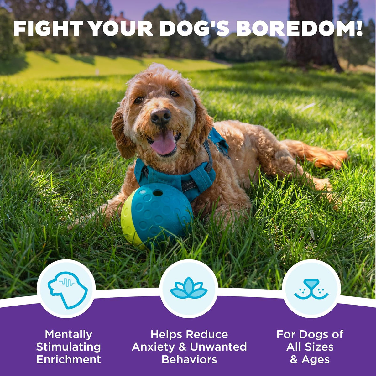 Nina Ottosson by Outward Hound Treat Tumble Interactive Treat Ball Dog Puzzle Dog Enrichment Dog Toy, Level 1 Beginner, Blue, Small