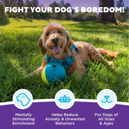 Nina Ottosson by Outward Hound Treat Tumble Interactive Treat Ball Dog Puzzle Dog Enrichment Dog Toy, Level 1 Beginner, Blue, Small