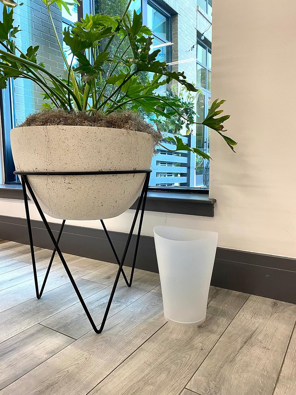 Rubbermaid Spaworks – Cesto Curvo de Perfil Delgado para Espacios Reducidos, Bote sin Tapa para Baño, Recámara y Oficina en Casa, Capacidad de hasta 9 L, Transparente FG290200CLR