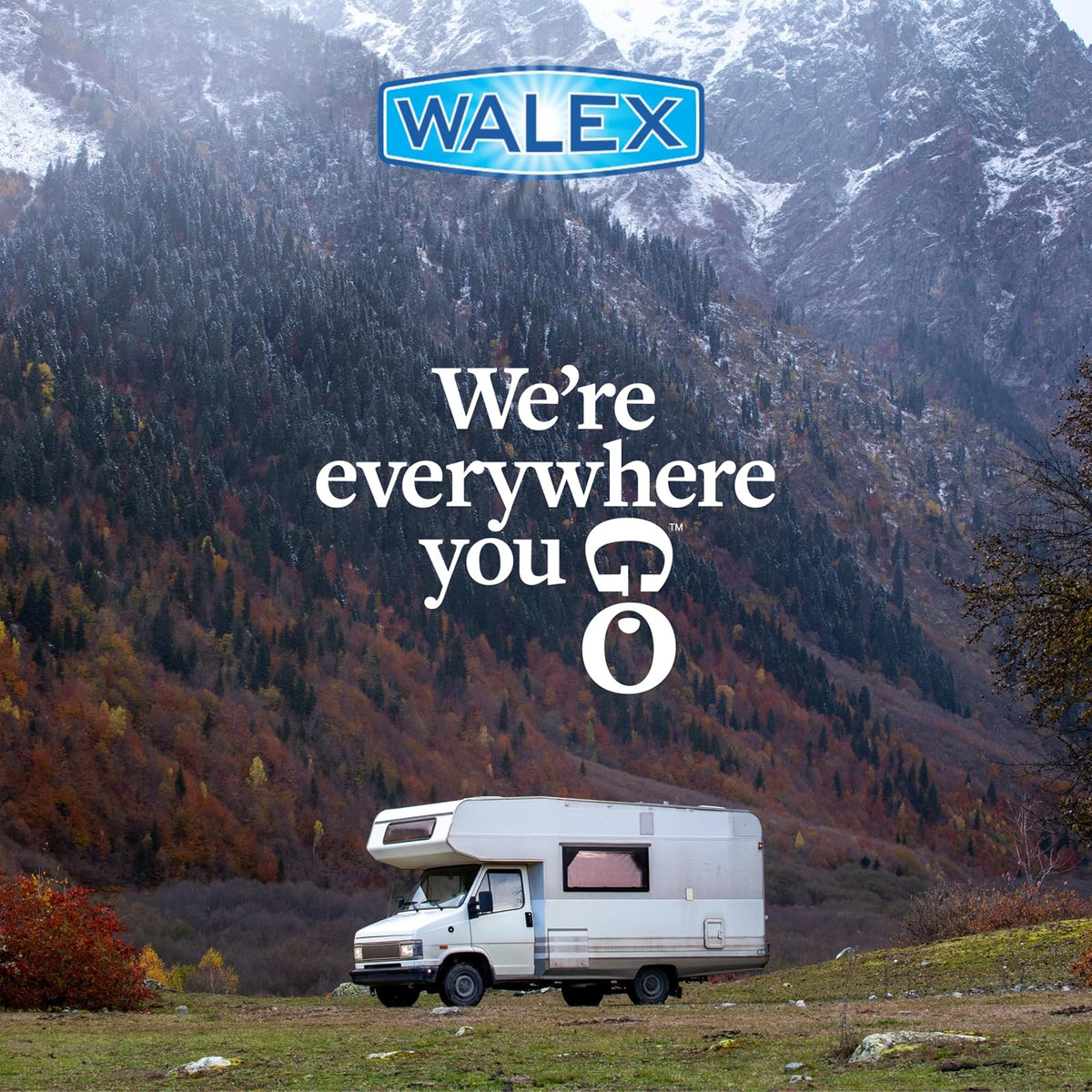 Walex Fresh-Pak Desodorizador de Tanque de Agua Negra RV y Marino, 30 Cápsulas