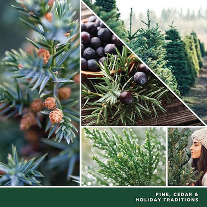 Yankee Candle - Vela clásica de 22 onzas con Aroma a bálsamo y Cedro, con Aroma a Cedro Grande, más de 110 Horas de combustión, Regalo Ideal para día Festivo