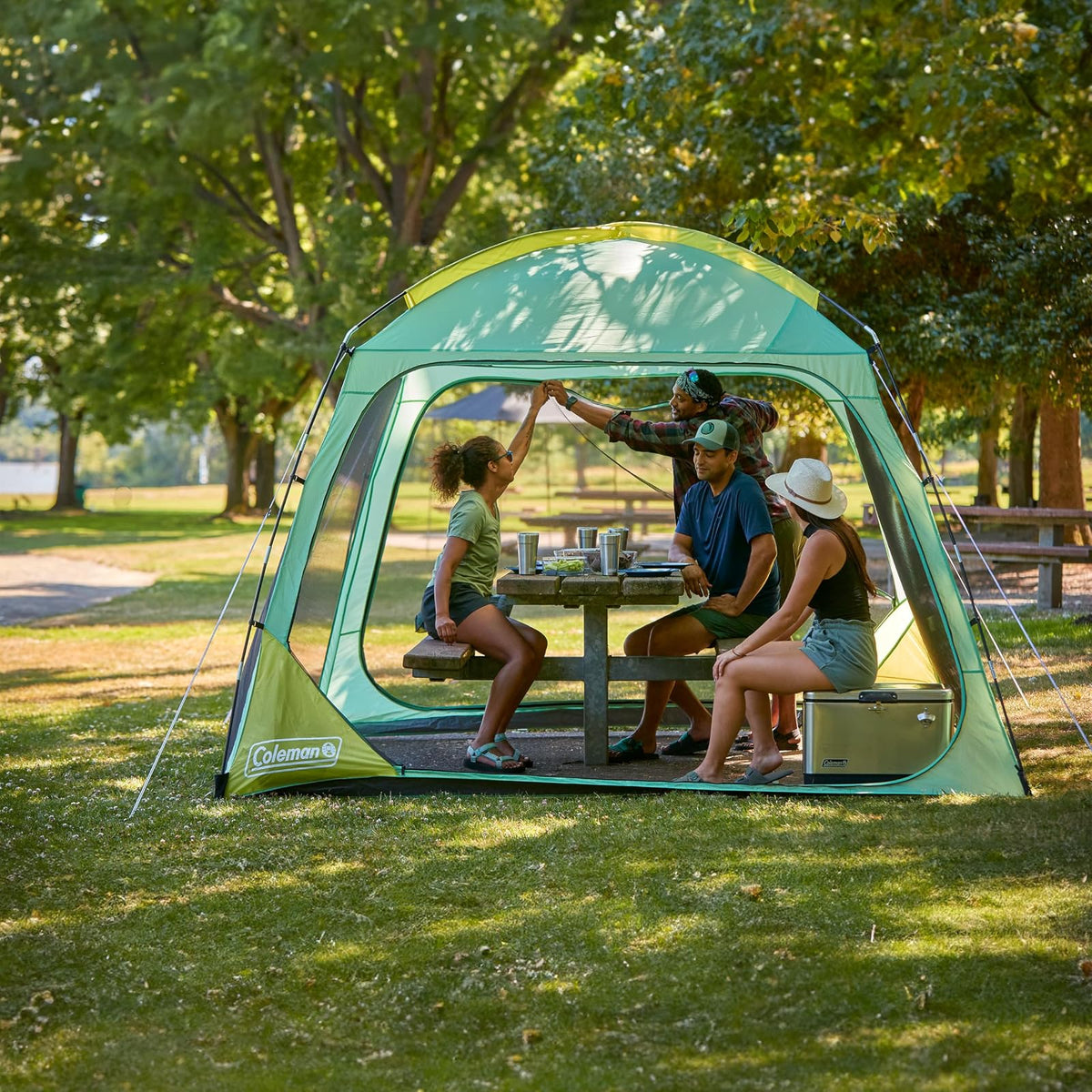 Coleman Skyshade - Toldo cúpula de visualización (10 x 10 cm)