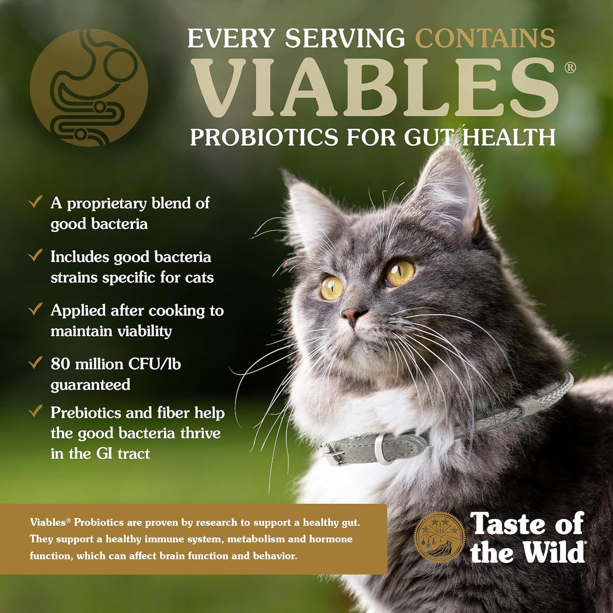 Taste Of The Wild Grain Free High Protein Real Meat Recipe Canyon River Premium Dry Cat Food