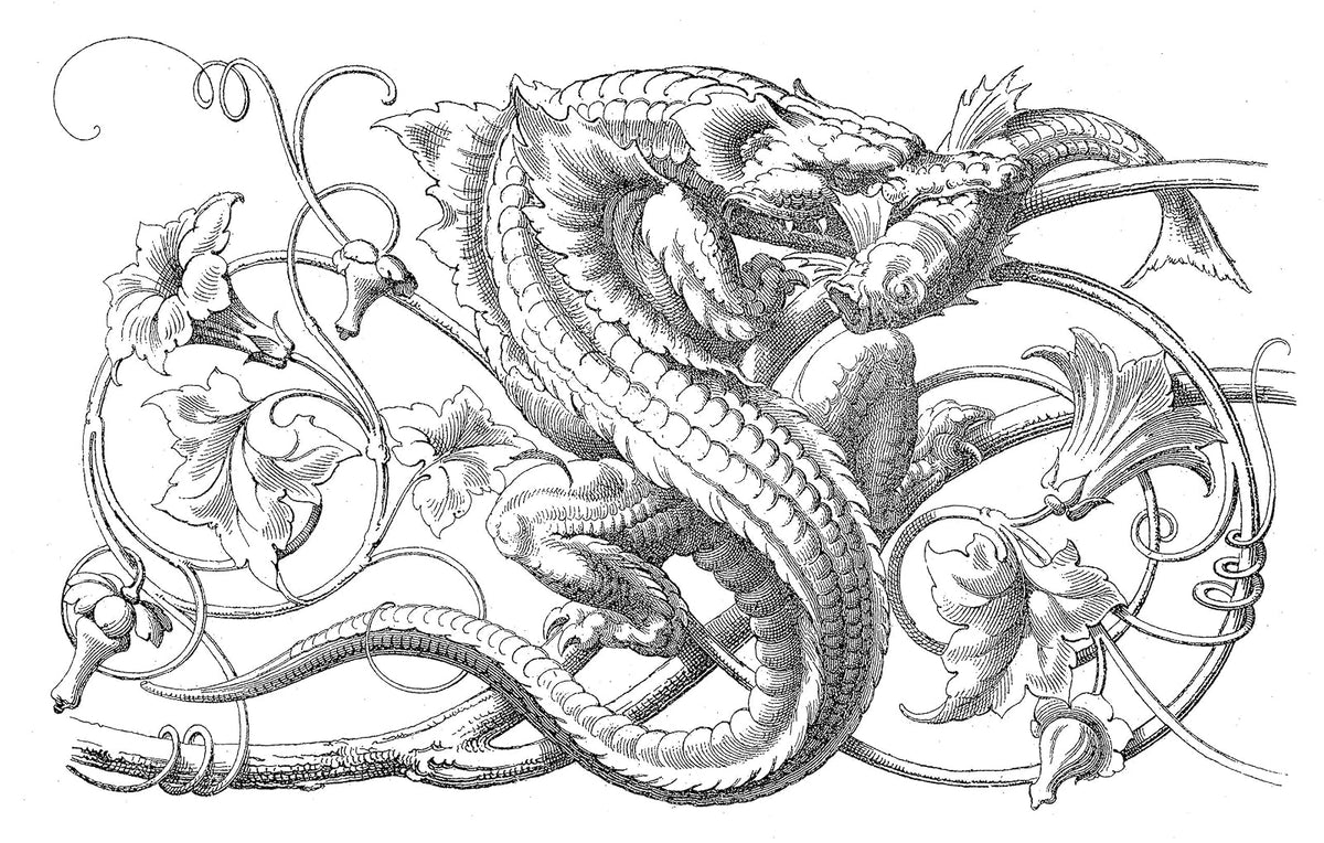 Fantastic Ornament: 110 Designs and Motifs