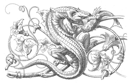 Fantastic Ornament: 110 Designs and Motifs