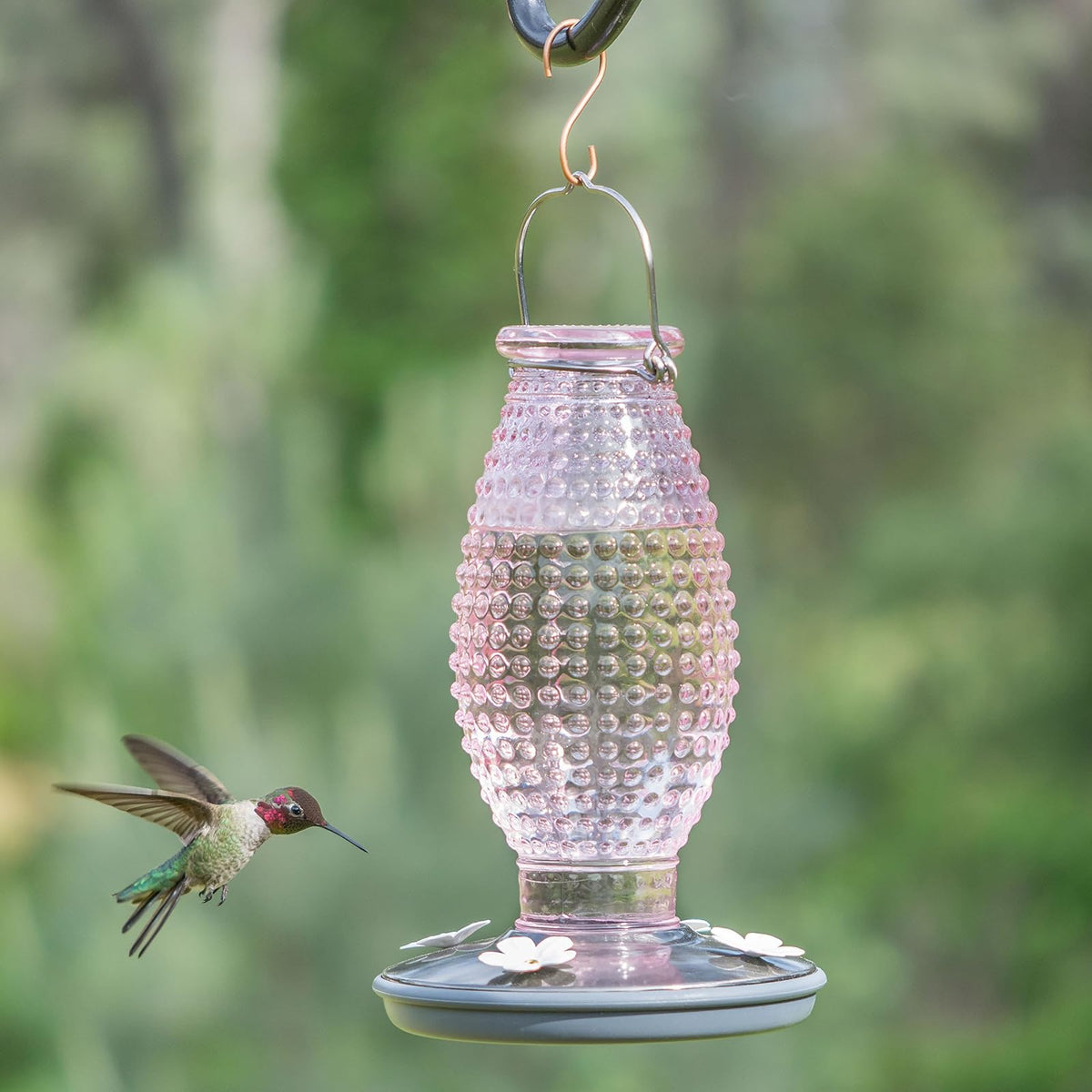 Perky Pet 8131-2 - Alimentador de colibrí de Vidrio clásico
