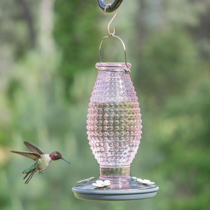 Perky Pet 8131-2 - Alimentador de colibrí de Vidrio clásico