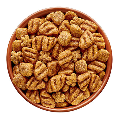 Dog Chow Adulto Alta Proteina 10kg N1 MX