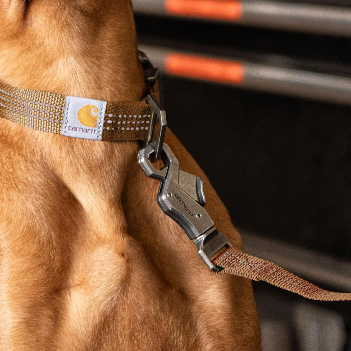 Carhartt Pet - Correas de Nailon duraderas para Perros, Costuras Reflectantes para Visibilidad, Musgo Ligero, Talla L