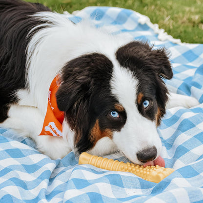Nylabone Power Chew - Hueso de Perro para masticadores agresivos, Juguete masticable Resistente para Perros, Mantequilla de maní, Talla XL/Souper