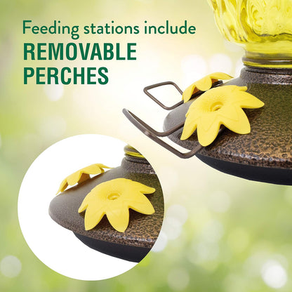 Perky-Pet 9110-2 - Alimentador de colibrí de Vidrio con Relleno Superior de piña - 28 onzas