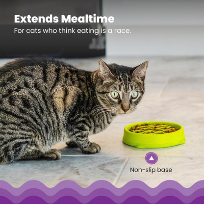 Petstages Kitty - Cuenco de alimentación Lenta para Gatos, Color Verde